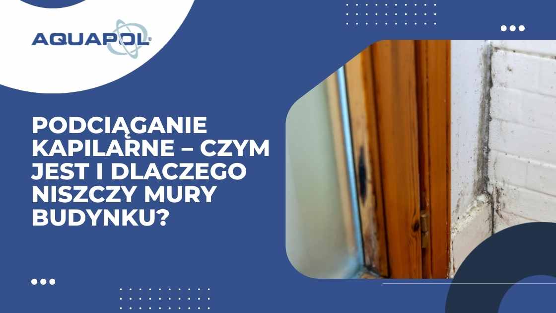 Podciąganie kapilarne – czym jest i dlaczego niszczy mury budynku?